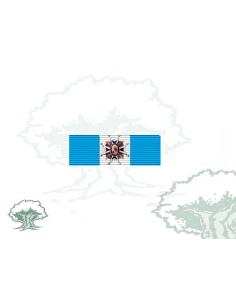 Pasador Encomienda Orden de Carlos III