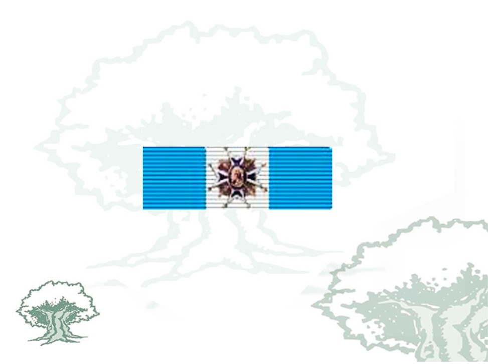 Pasador Encomienda Orden de Carlos III