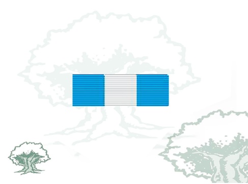 Pasador Cruz de la Orden de Carlos III