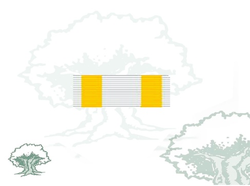 Pasador Orden de Isabel la Catolica