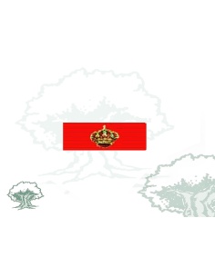 Pasador Gran Cruz Orden de Alfonso X el Sabio