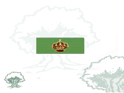 Pasador Gran Cruz Orden del Mérito Agrario Pesquero y Alimentario