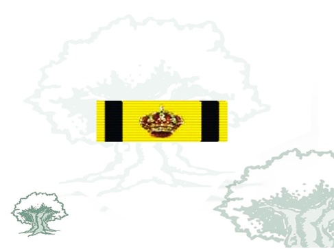 Pasador Gran Cruz Orden Civil de Sanidad