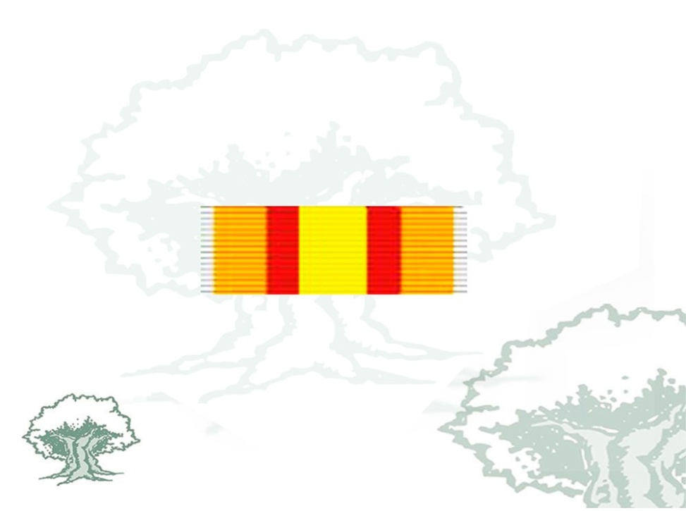 Pasador Medalla Ifni-Sahara filo blanco