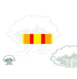 Pasador Medalla de Ifni-Sahara