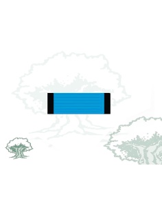 Pasador Medalla Sahara teatro de operaciones