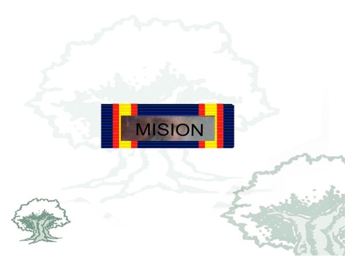 Pasador Medalla Campaña