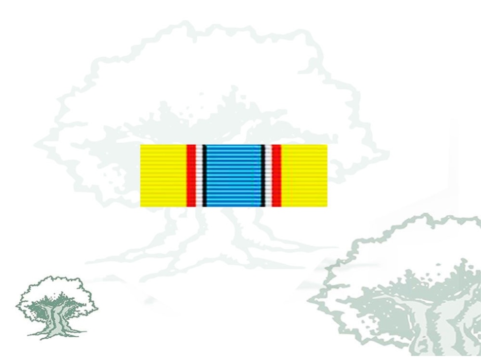 Pasador Medalla ONU (UNAVEM)