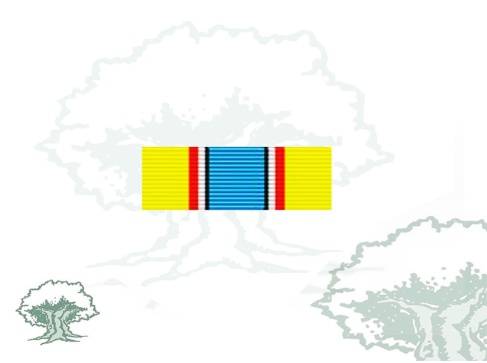 Pasador Medalla ONU (UNAVEM)