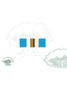 Pasador Medalla ONU (UNTAG)