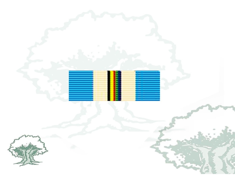 Pasador Medalla ONU (UNTAG)