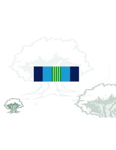 Pasador Medalla ONU (ONUCA)