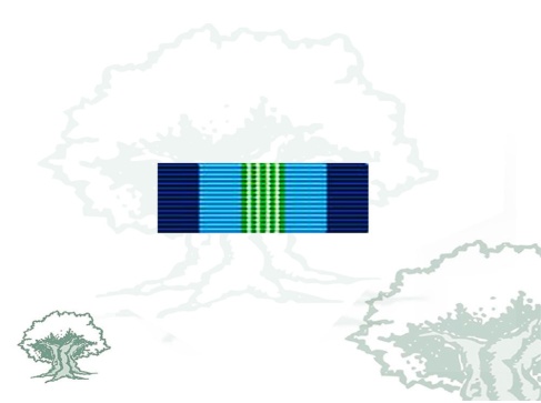 Pasador Medalla de la ONU (ONUCA)