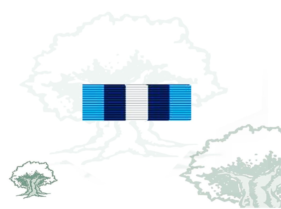 Pasador Medalla ONU (ONUSAL)