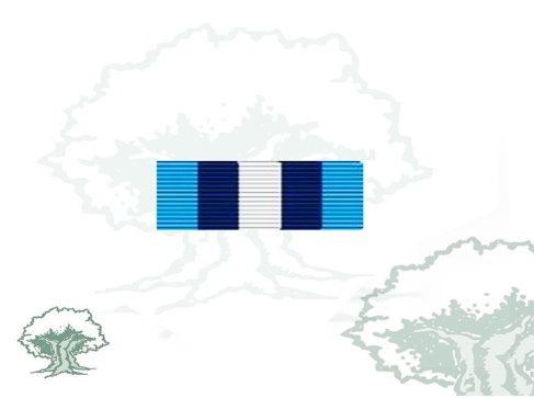 Pasador Medalla de la ONU (ONUSAL)