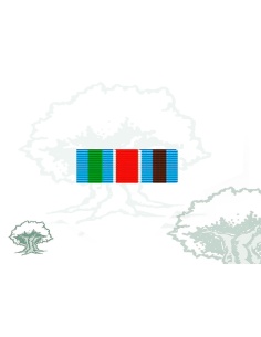 Pasador Medalla ONU (UNPROFOR)