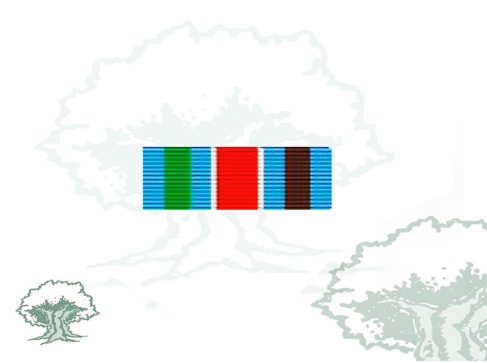 Pasador Medalla de la ONU (UNPROFOR)