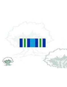 Pasador Medalla ONU (MINUGUA)