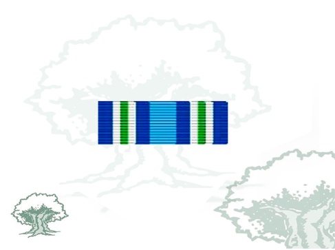 Pasador Medalla de la ONU (MINUGUA)