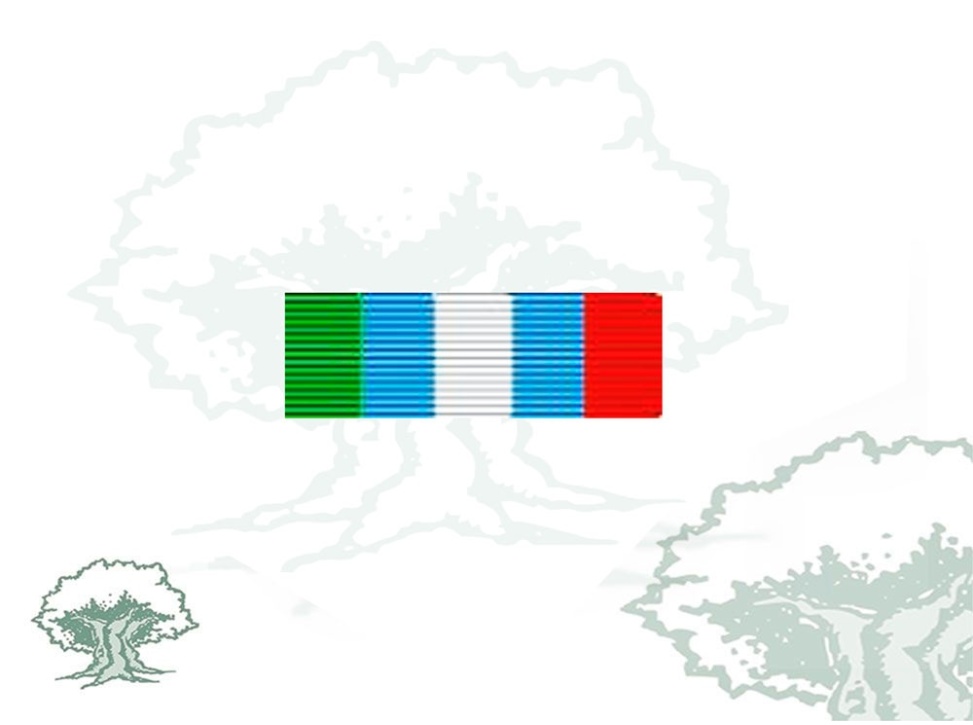 Pasador Medalla ONU (UNMIBH)