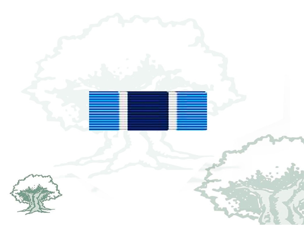 Pasador Medalla ONU (UNMIK)