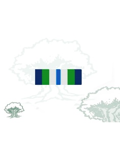 Pasador Medalla de la ONU (MINUSTAH)