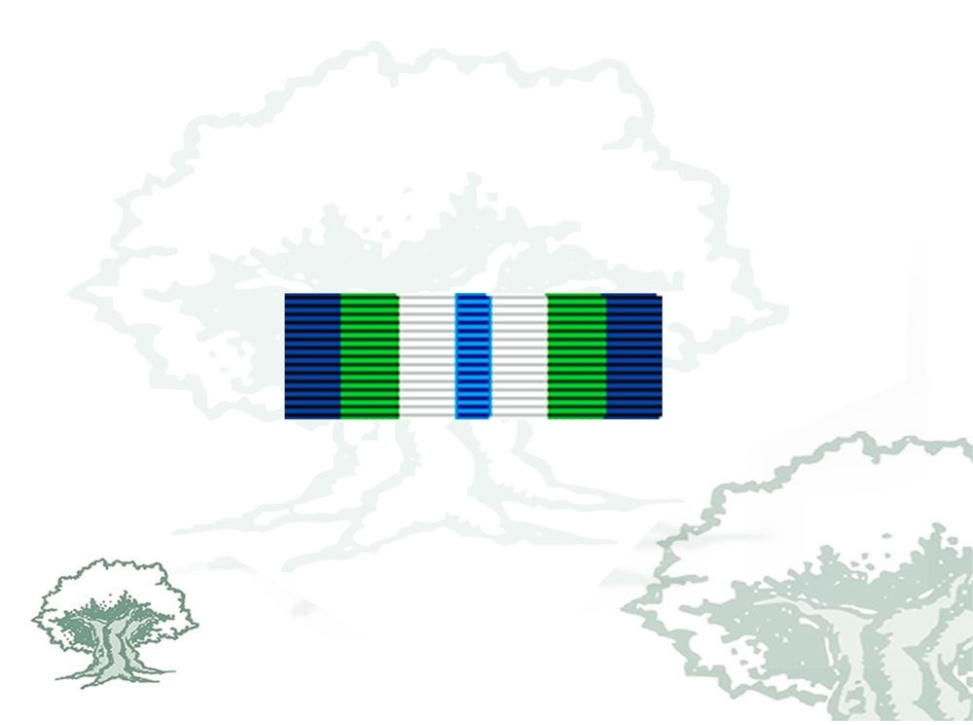 Pasador Medalla de la ONU (MINUSTAH)