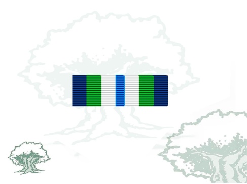 Pasador Medalla de la ONU (MINUSTAH)