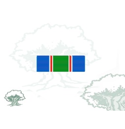 Pasador Medalla de la ONU (UNIFIL)