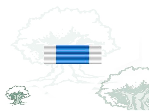 Pasador Medalla ONU (Servicios Especiales)