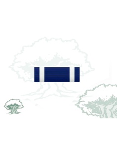 Pasador Medalla OTAN (Former Yugoslavia)