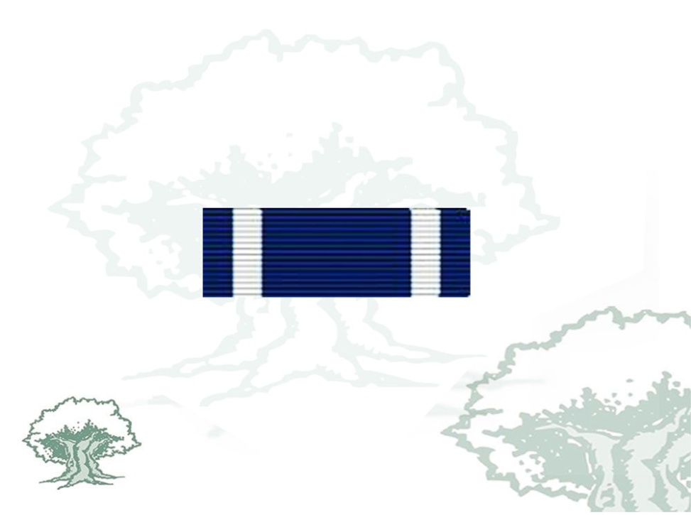 Pasador Medalla OTAN (Former Yugoslavia)