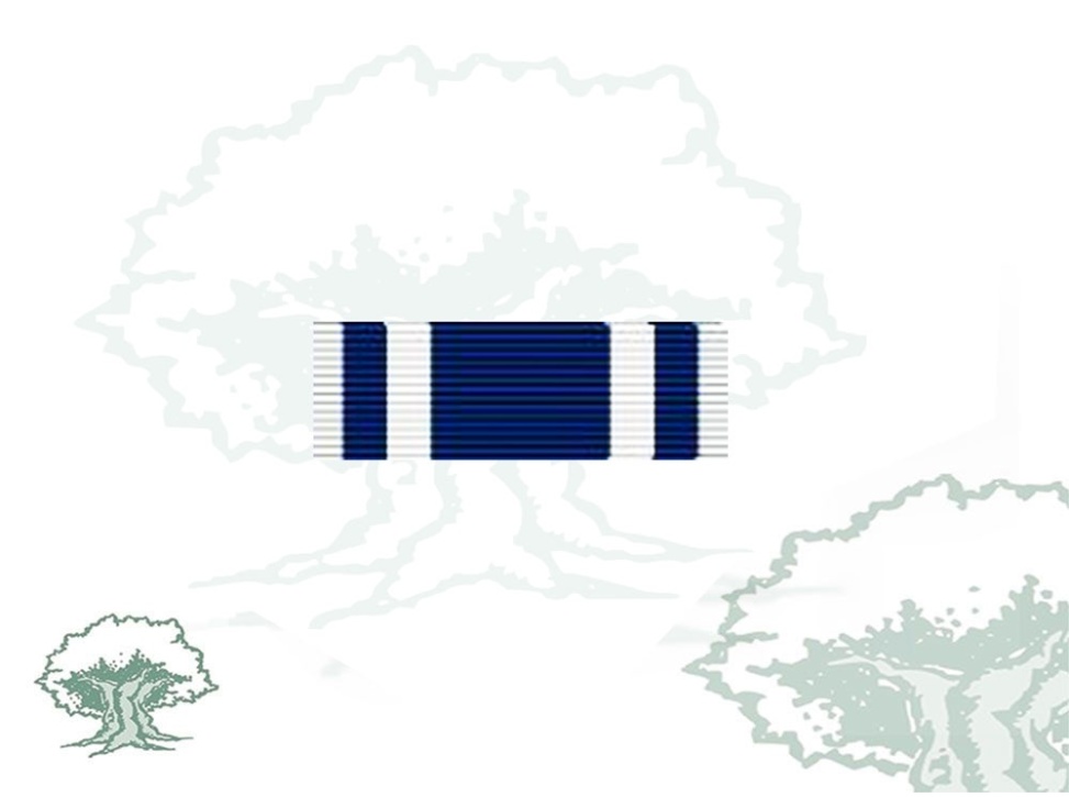 Pasador Medalla OTAN (Macedonia)