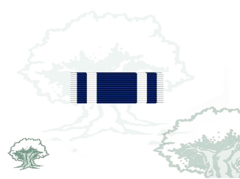 Pasador Medalla OTAN (Macedonia)