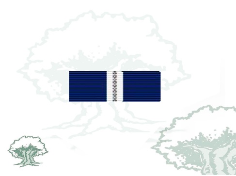 Pasador Medalla de la OTAN (Balcanes)