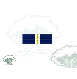Pasador Medalla de la OTAN (Eagle Assist)