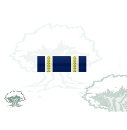 Pasador Medalla de la OTAN (ISAF)
