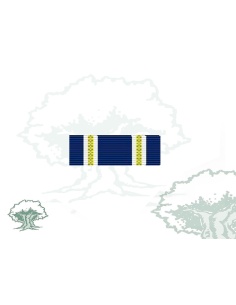 Pasador Medalla OTAN (ACTIVE ANDEVOUR)