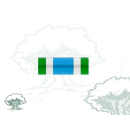 Pasador Medalla de la ONU (ONUMOZ)