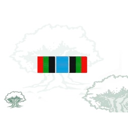 Pasador Medalla de la ONU (UNAMIR)