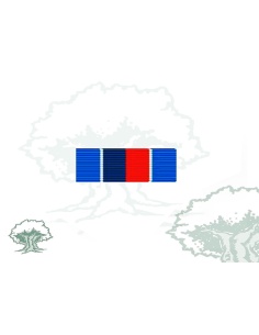 Pasador Medalla ONU (UNMIH)