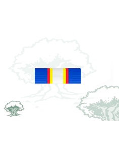 Pasador Medalla ONU (UNAMET)