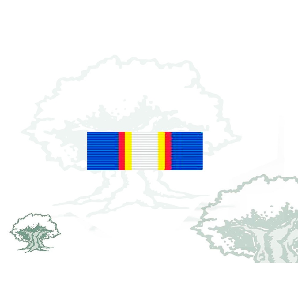 Pasador Medalla de la ONU (UNAMET)