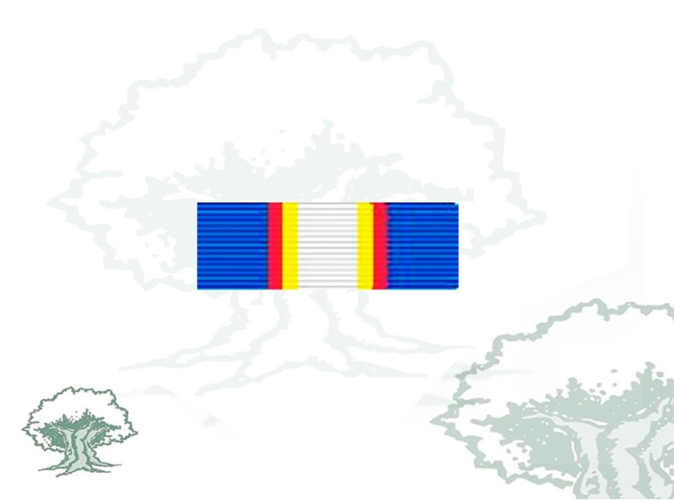 Pasador Medalla ONU (UNAMET)