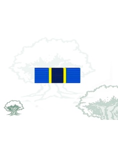 Pasador Medalla ONU (MONUC)