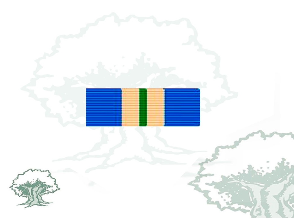 Pasador Medalla ONU (UNMEE)