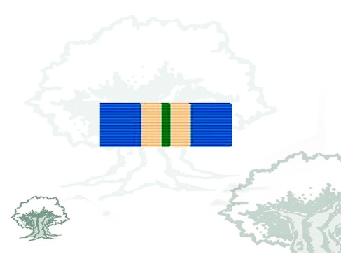 Pasador Medalla ONU (UNMEE)