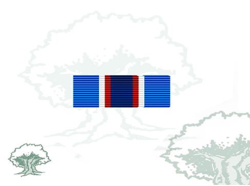 Pasador Medalla ONU (UNMIL)