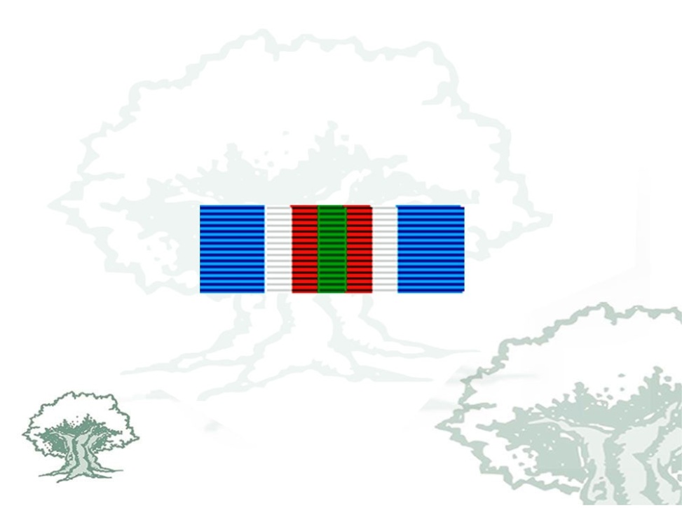 Pasador Medalla ONU (ONUB)