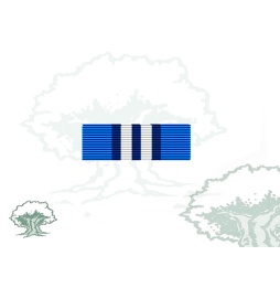 Pasador Medalla de la ONU (UNMIS)